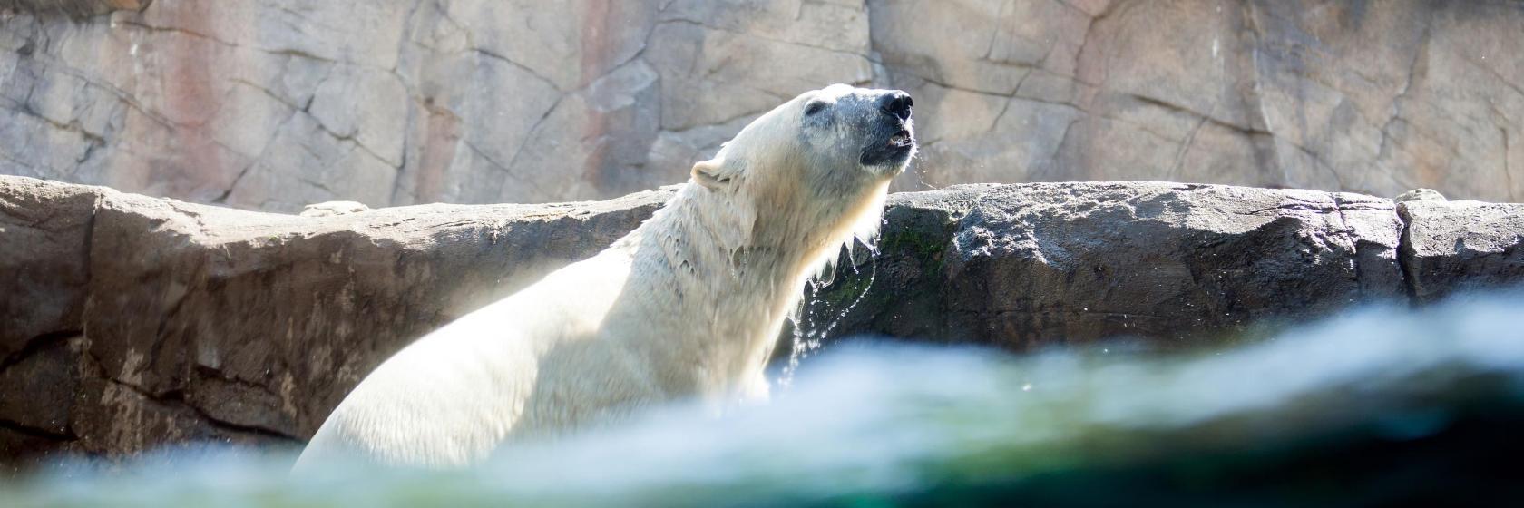 Erlebnis-Zoo Hannover